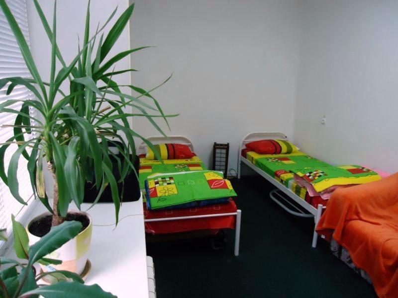 Hostel Kreshatik Kiev Phòng bức ảnh